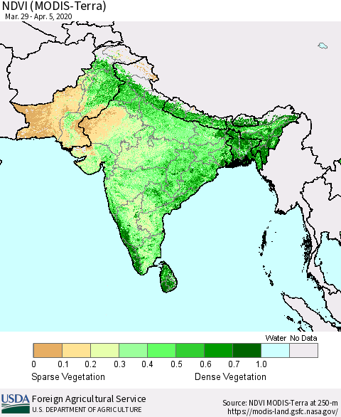 Southern Asia NDVI (MODIS-Terra) Thematic Map For 4/1/2020 - 4/10/2020
