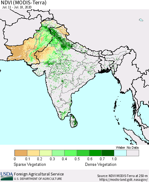 Southern Asia NDVI (MODIS-Terra) Thematic Map For 7/11/2020 - 7/20/2020