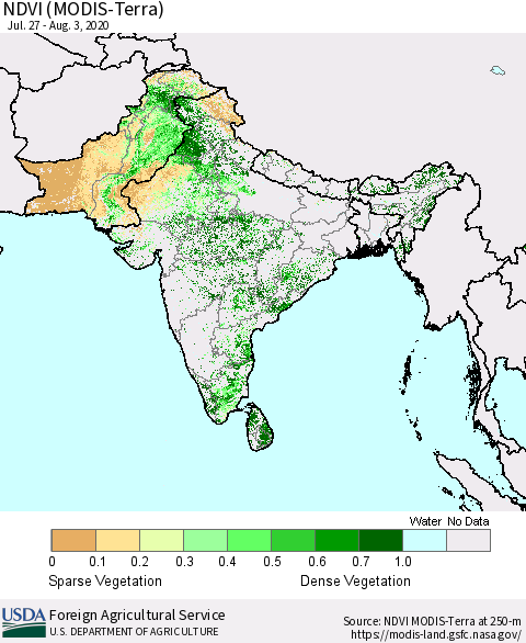 Southern Asia NDVI (Terra-MODIS) Thematic Map For 8/1/2020 - 8/10/2020