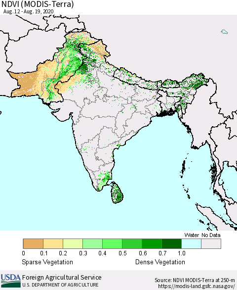 Southern Asia NDVI (Terra-MODIS) Thematic Map For 8/11/2020 - 8/20/2020