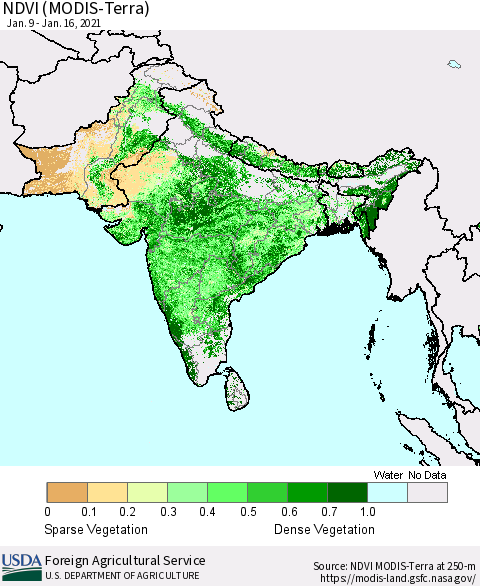 Southern Asia NDVI (Terra-MODIS) Thematic Map For 1/11/2021 - 1/20/2021