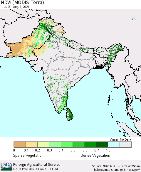 Southern Asia NDVI (Terra-MODIS) Thematic Map For 8/1/2021 - 8/10/2021