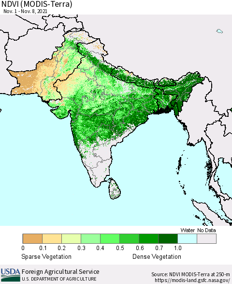 Southern Asia NDVI (Terra-MODIS) Thematic Map For 11/1/2021 - 11/10/2021