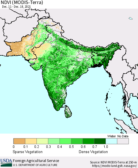 Southern Asia NDVI (Terra-MODIS) Thematic Map For 12/11/2021 - 12/20/2021