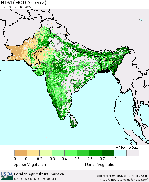 Southern Asia NDVI (MODIS-Terra) Thematic Map For 1/11/2022 - 1/20/2022