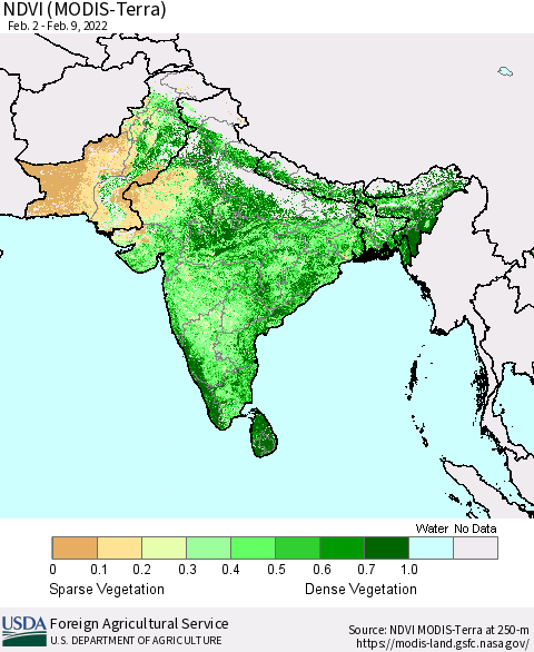 Southern Asia NDVI (Terra-MODIS) Thematic Map For 2/1/2022 - 2/10/2022