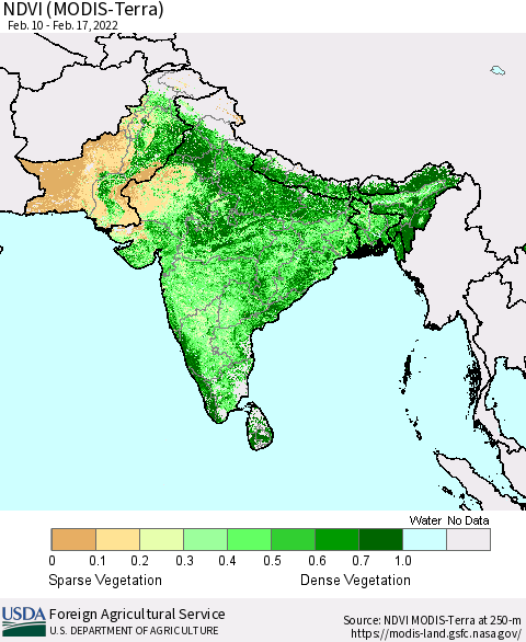 Southern Asia NDVI (MODIS-Terra) Thematic Map For 2/11/2022 - 2/20/2022