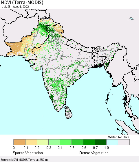 Southern Asia NDVI (Terra-MODIS) Thematic Map For 7/28/2022 - 8/4/2022