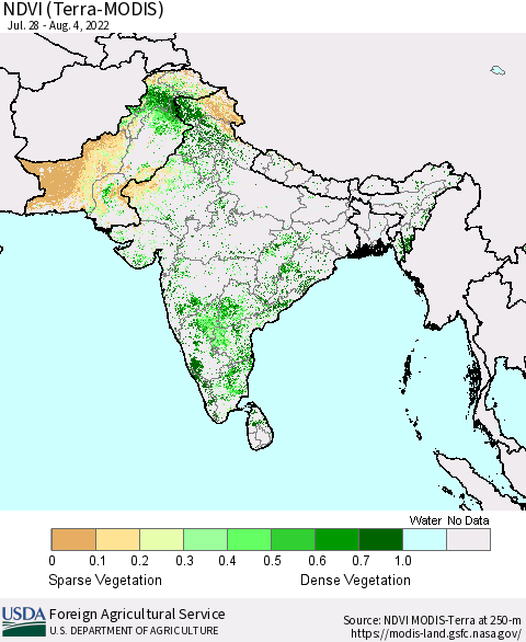 Southern Asia NDVI (Terra-MODIS) Thematic Map For 8/1/2022 - 8/10/2022