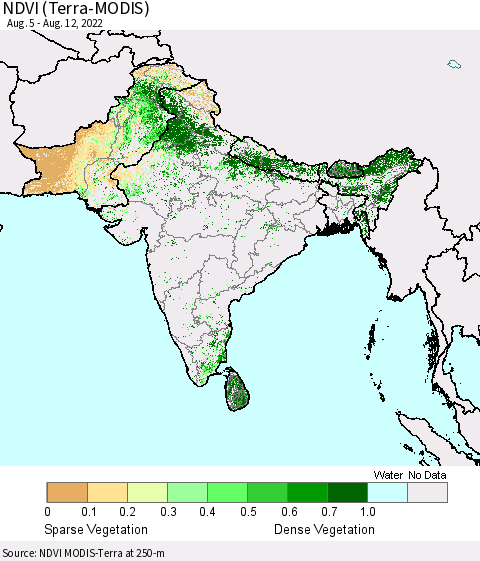 Southern Asia NDVI (Terra-MODIS) Thematic Map For 8/5/2022 - 8/12/2022