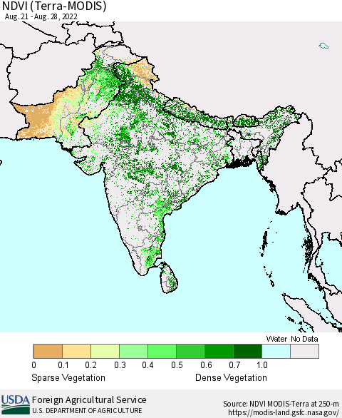 Southern Asia NDVI (Terra-MODIS) Thematic Map For 8/21/2022 - 8/31/2022