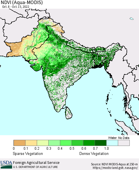 Southern Asia NDVI (Terra-MODIS) Thematic Map For 10/11/2022 - 10/20/2022