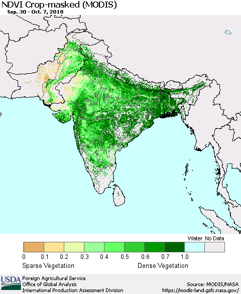 Southern Asia Cropland NDVI (Terra-MODIS) Thematic Map For 10/1/2018 - 10/10/2018
