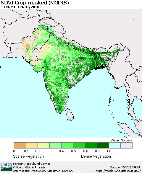 Southern Asia Cropland NDVI (Terra-MODIS) Thematic Map For 10/21/2018 - 10/31/2018