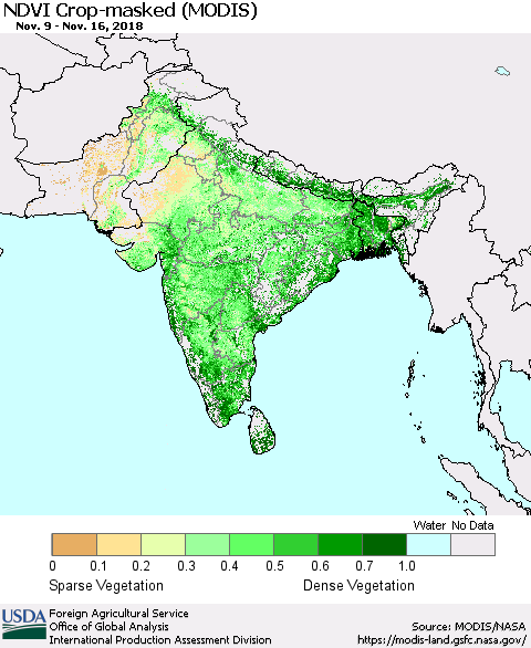 Southern Asia Cropland NDVI (Terra-MODIS) Thematic Map For 11/11/2018 - 11/20/2018
