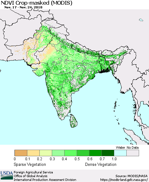 Southern Asia Cropland NDVI (Terra-MODIS) Thematic Map For 11/21/2018 - 11/30/2018