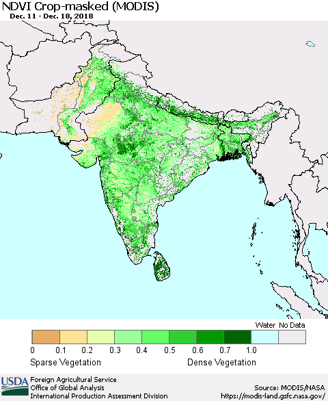 Southern Asia Cropland NDVI (Terra-MODIS) Thematic Map For 12/11/2018 - 12/20/2018