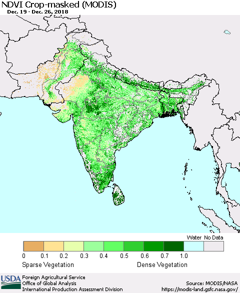 Southern Asia Cropland NDVI (Terra-MODIS) Thematic Map For 12/21/2018 - 12/31/2018