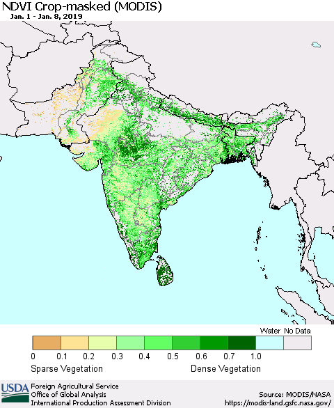 Southern Asia Cropland NDVI (Terra-MODIS) Thematic Map For 1/1/2019 - 1/10/2019