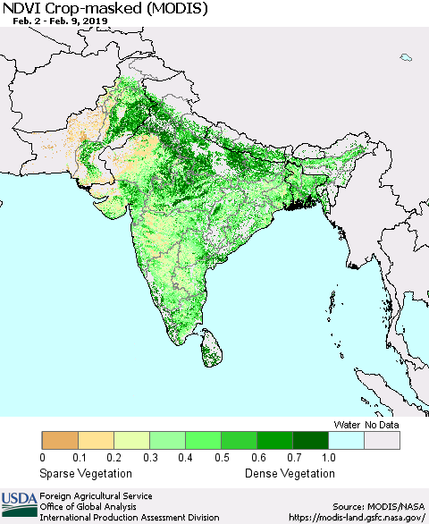 Southern Asia Cropland NDVI (Terra-MODIS) Thematic Map For 2/1/2019 - 2/10/2019