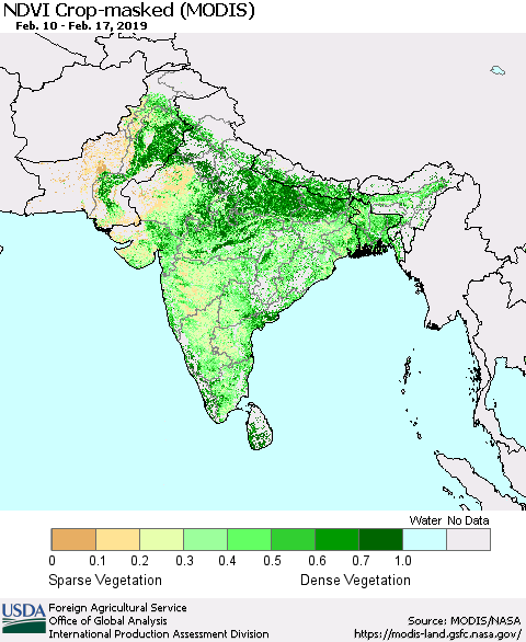 Southern Asia Cropland NDVI (Terra-MODIS) Thematic Map For 2/11/2019 - 2/20/2019