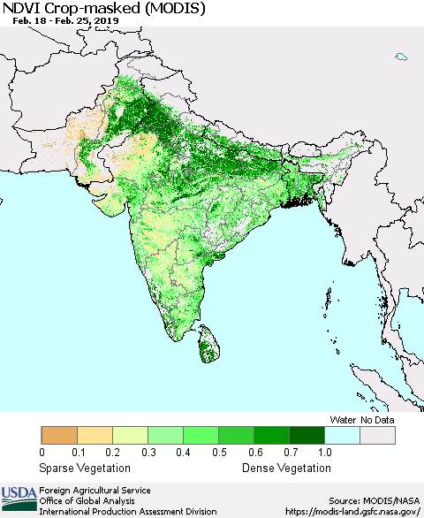 Southern Asia Cropland NDVI (Terra-MODIS) Thematic Map For 2/21/2019 - 2/28/2019