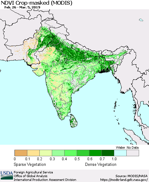 Southern Asia Cropland NDVI (Terra-MODIS) Thematic Map For 3/1/2019 - 3/10/2019