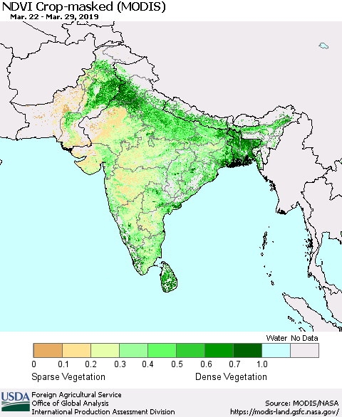 Southern Asia Cropland NDVI (Terra-MODIS) Thematic Map For 3/21/2019 - 3/31/2019