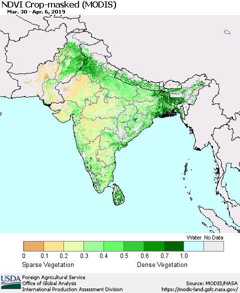 Southern Asia Cropland NDVI (Terra-MODIS) Thematic Map For 4/1/2019 - 4/10/2019