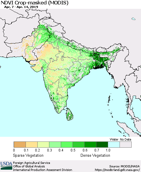 Southern Asia Cropland NDVI (Terra-MODIS) Thematic Map For 4/11/2019 - 4/20/2019