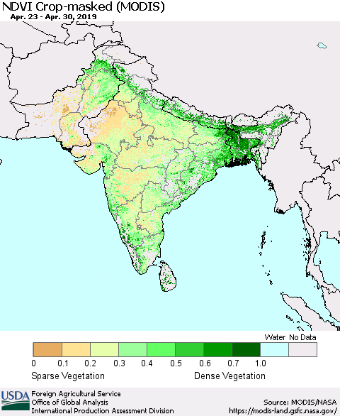 Southern Asia Cropland NDVI (Terra-MODIS) Thematic Map For 4/21/2019 - 4/30/2019