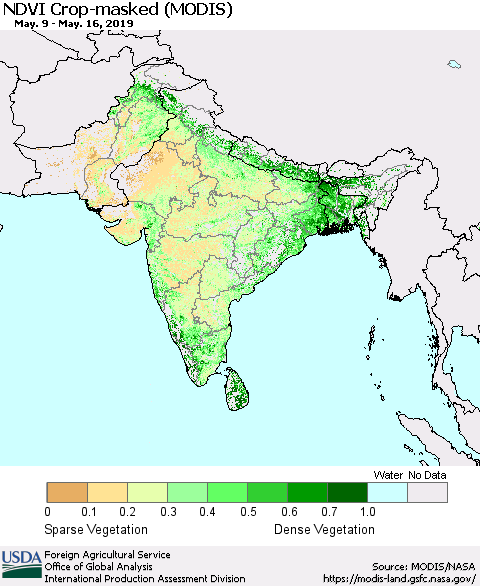 Southern Asia NDVI Crop-masked (MODIS-Terra) Thematic Map For 5/11/2019 - 5/20/2019