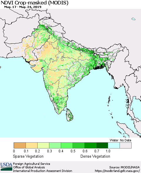 Southern Asia Cropland NDVI (Terra-MODIS) Thematic Map For 5/21/2019 - 5/31/2019