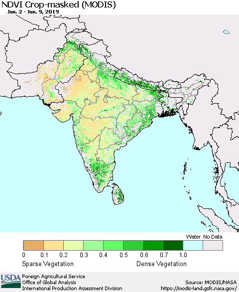 Southern Asia Cropland NDVI (Terra-MODIS) Thematic Map For 6/1/2019 - 6/10/2019