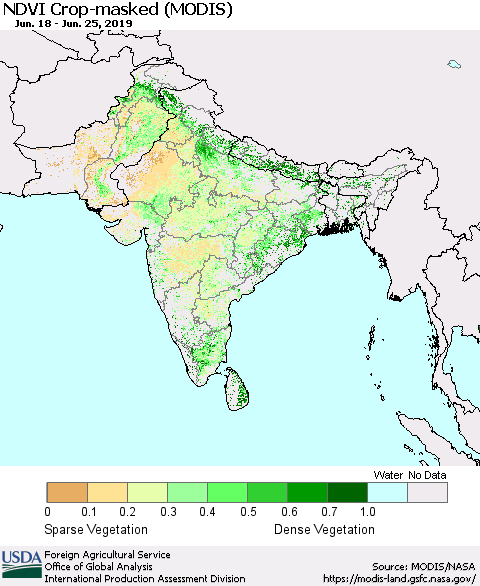 Southern Asia NDVI Crop-masked (MODIS-Terra) Thematic Map For 6/21/2019 - 6/30/2019