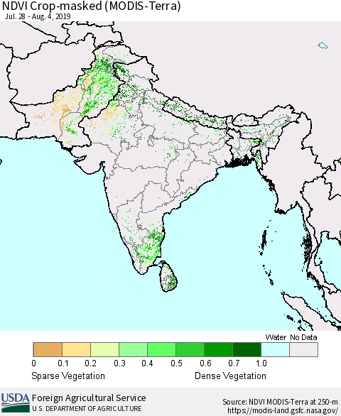 Southern Asia NDVI Crop-masked (MODIS-Terra) Thematic Map For 8/1/2019 - 8/10/2019