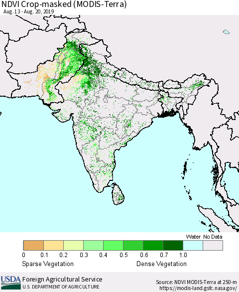 Southern Asia Cropland NDVI (Terra-MODIS) Thematic Map For 8/11/2019 - 8/20/2019