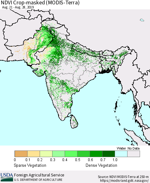 Southern Asia Cropland NDVI (Terra-MODIS) Thematic Map For 8/21/2019 - 8/31/2019
