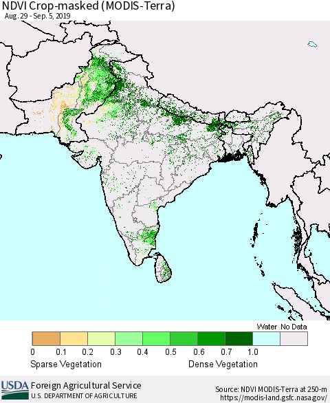 Southern Asia NDVI Crop-masked (MODIS-Terra) Thematic Map For 9/1/2019 - 9/10/2019