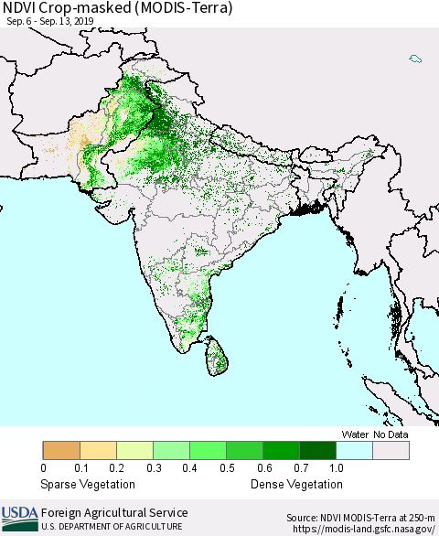 Southern Asia Cropland NDVI (Terra-MODIS) Thematic Map For 9/11/2019 - 9/20/2019