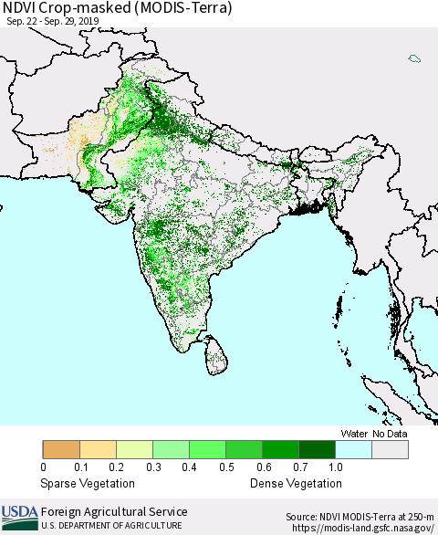 Southern Asia Cropland NDVI (Terra-MODIS) Thematic Map For 9/21/2019 - 9/30/2019