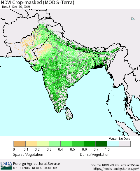 Southern Asia Cropland NDVI (Terra-MODIS) Thematic Map For 12/1/2019 - 12/10/2019