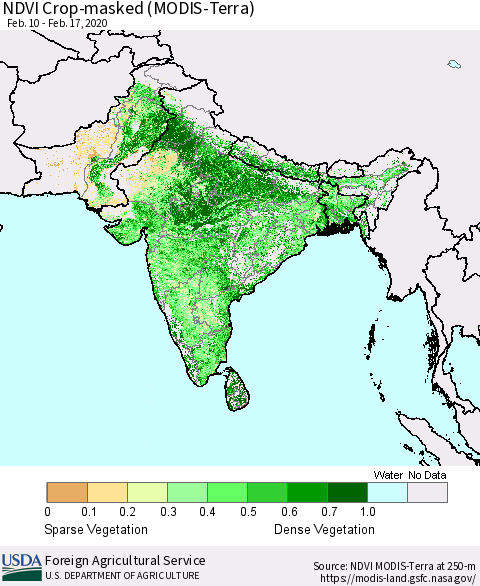 Southern Asia NDVI Crop-masked (MODIS-Terra) Thematic Map For 2/11/2020 - 2/20/2020