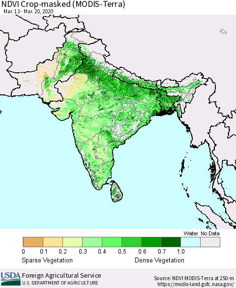 Southern Asia NDVI Crop-masked (MODIS-Terra) Thematic Map For 3/11/2020 - 3/20/2020