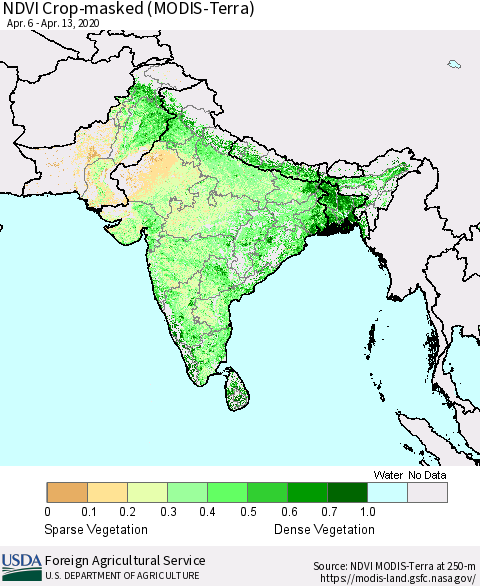 Southern Asia Cropland NDVI (Terra-MODIS) Thematic Map For 4/11/2020 - 4/20/2020