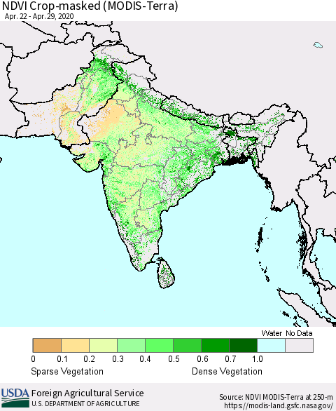 Southern Asia Cropland NDVI (Terra-MODIS) Thematic Map For 4/21/2020 - 4/30/2020