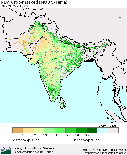 Southern Asia NDVI Crop-masked (MODIS-Terra) Thematic Map For 5/21/2020 - 5/31/2020