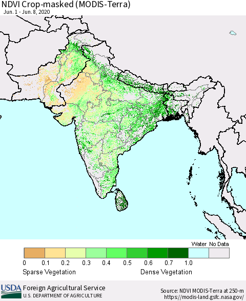 Southern Asia NDVI Crop-masked (MODIS-Terra) Thematic Map For 6/1/2020 - 6/10/2020