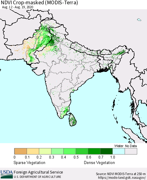Southern Asia Cropland NDVI (Terra-MODIS) Thematic Map For 8/11/2020 - 8/20/2020
