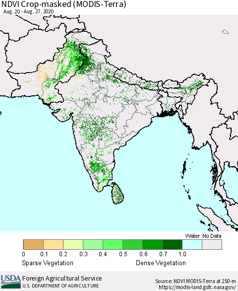 Southern Asia Cropland NDVI (Terra-MODIS) Thematic Map For 8/21/2020 - 8/31/2020